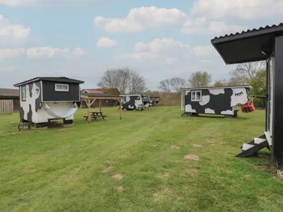 a group of rvs parked in a grass field at Betsy Cow Shed 2 in Woodbridge