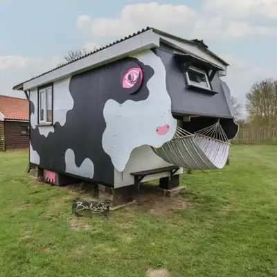 Betsy Cow Shed 2