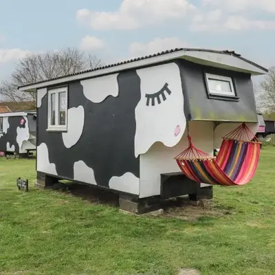 Dozy Dotty Cow Shed 4