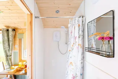 a bathroom with a shower in a tiny house at Gin and Toffee Carriage in Thaxted