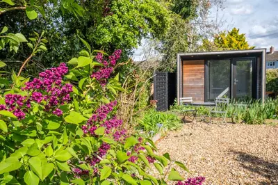 a garden with purple flowers in front of a house at Hylton Cottage, Lavenham in Lavenham