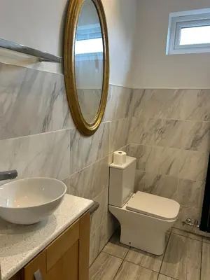 a bathroom with a sink and a toilet and a mirror at Beautiful Lodge in Newmarket with parking in Newmarket