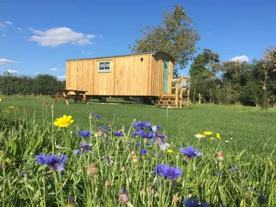 a wooden cabin in a field with flowers at Shepherds Hut 6 in Bedfield