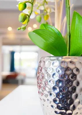a vase with a plant in it sitting on a table at Stylish and Spacious 3-Bed House Free Parking in Ipswich