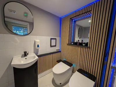 a bathroom with a toilet and a sink and a mirror at A historic Pub with a modern twist - The Greyhound in Bury Saint Edmunds