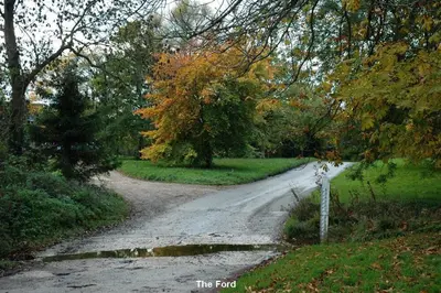 a dirt road with trees on the side of it at The White Barn near Cambridge in Huntingdon