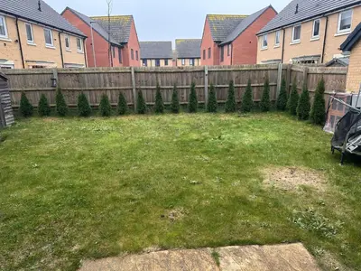 a yard with a wooden fence and some houses at Home in Cambridge in Long Stanton