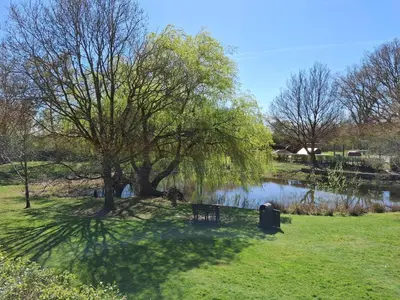 a park with a tree and a bench next to a lake at Modern townhouse with easy access to London in Ingatestone