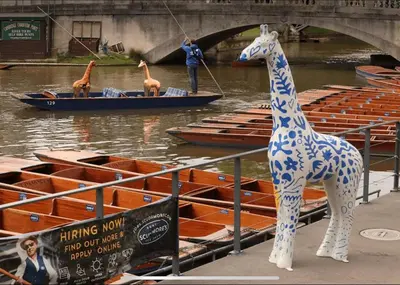 a statue of a giraffe standing next to some boats at Modern stylish house in Charming Fen Ditton Village in CBG