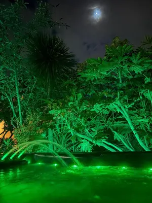 a night view of a forest with green lights at Family stay with soft play, hot tub, ping pong, pool table! in Hythe