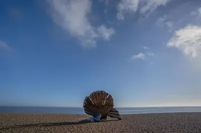 a shell on a beach with the ocean in the background at Danes House 4 in Aldeburgh