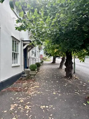 a tree in front of a white building at 2 Bedroom Cottage in Debenham - The Old Toll House in Debenham