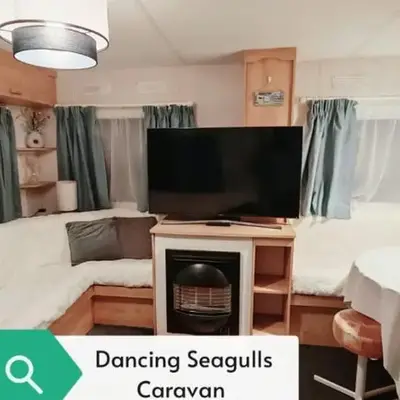 Dancing Seagulls Caravan