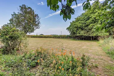 a field with orange flowers in a field with trees at 4 Bed in Sudbourne oc-w32267 in Sudbourne