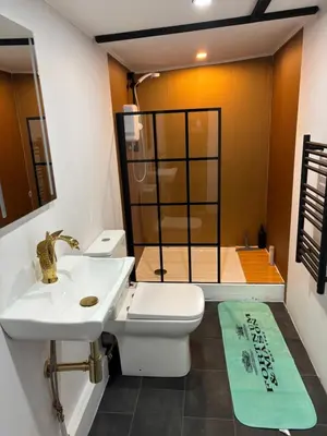 a bathroom with a toilet and a sink and a shower at Stables 2bed farm stay private firepit bbq in Bramfield