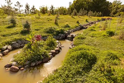 an aerial view of a river with plants at Fairytale Staycation - Near London by Damask Homes in Stapleford Tawney