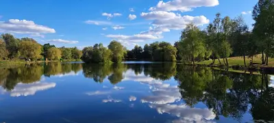 a lake with trees and clouds in the sky at Lakeview Petting Pod in Chelmsford