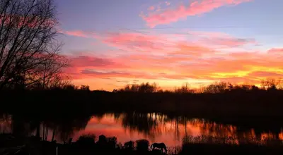 a sunset with a horse standing on a lake at Lakeview Petting Pod in Chelmsford