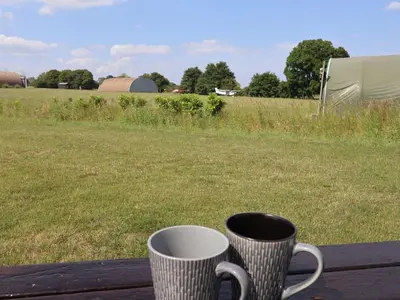 two coffee cups sitting on a table in front of a field at Robin in Woodbridge