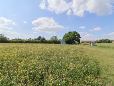 a field of flowers with a barn in the background at Oak Tree in Woodbridge