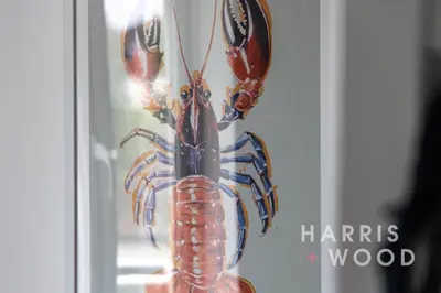 a group of lobsters in a glass vase at Saltmarsh Cottage in Brightlingsea