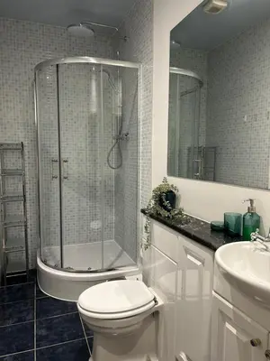 a bathroom with a shower and a toilet and a sink at Elegant Period House in the Historic Heart of Cambridge - sleeps 12 in Cambridge