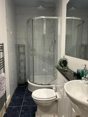 a bathroom with a shower and a toilet and a sink at Elegant Period House in the Historic Heart of Cambridge - sleeps 12 in Cambridge