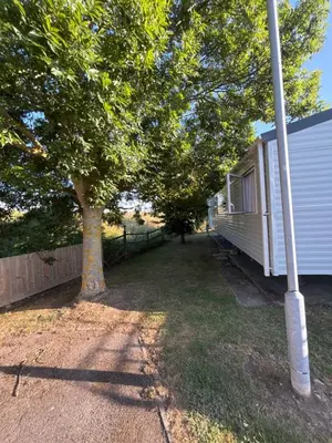 a house with a tree next to a fence at Singh&Leite Family RF10 in Jaywick Sands