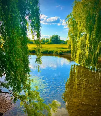 a river with trees on the side of it at Valley View in Sudbury