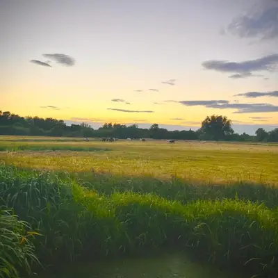 Valley View