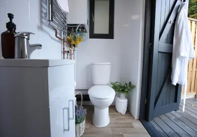 a bathroom with a toilet next to a door at Sycamore Lodge with Hot Tub- Quirky & Romantic in Halstead