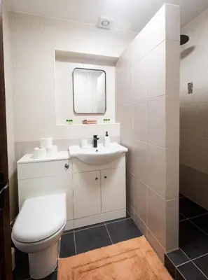 a bathroom with a toilet and a sink and a mirror at Lazy Acre, Suffolk in Hopton