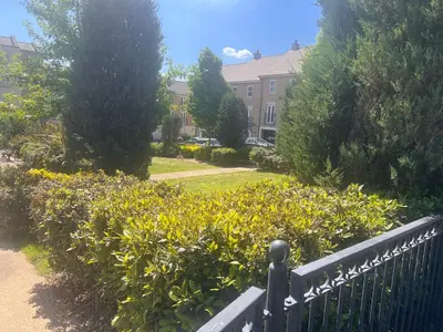 a garden with yellow flowers and a black fence at 4 Bedroom House Colchester in Colchester