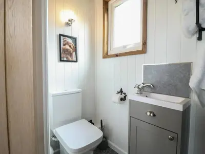 a small bathroom with a toilet and a sink at Luxury Shepherd Hut with Private Hot Tub in Swaffham Bulbeck