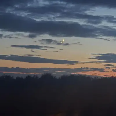a moon in a cloudy sky over a forest at The Cosy Hide - A romantic rural retreat for 2 in Cottenham