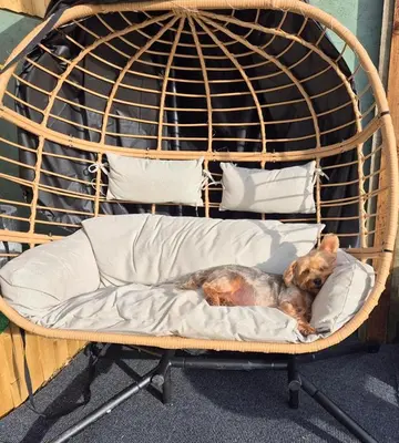 a dog laying on a pillow in a bed at The Cosy Hide - A romantic rural retreat for 2 in Cottenham