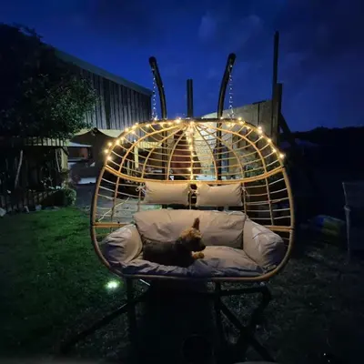 a dog laying in a bed in a bird cage at The Cosy Hide - A romantic rural retreat for 2 in Cottenham