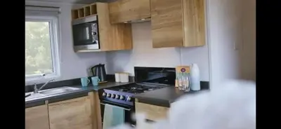 a kitchen with a stove and a sink at Morsh Luxury Caravan Getaway in Colchester