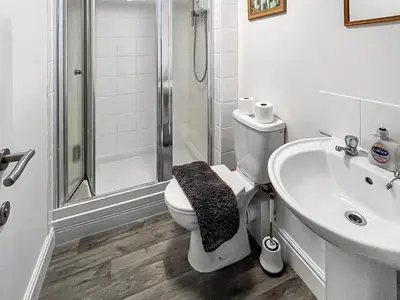 a bathroom with a toilet and a sink and a shower at Moglett Cottage in Fincham