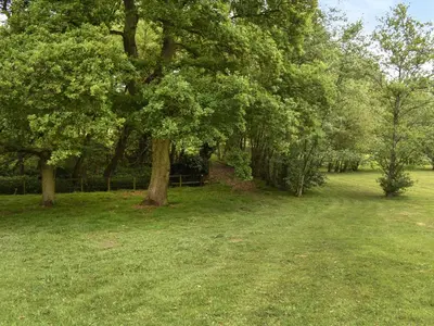 a group of trees in a field with grass at Spring Vale Bungalow in Colchester