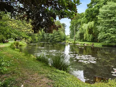 a river with lilies in a park with trees at Spring Vale Bungalow in Colchester