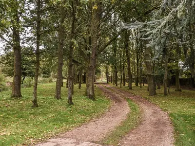a dirt road through a forest with trees at The Retreat - Uk48231 in Tibenham