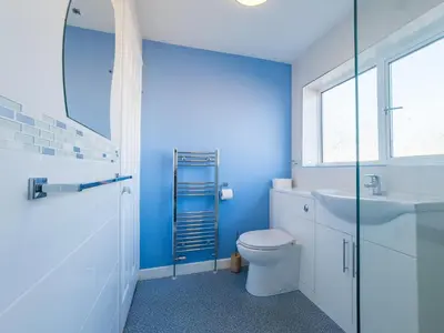 a blue bathroom with a toilet and a sink at House - sleeps 7 private garden & parking in Basildon