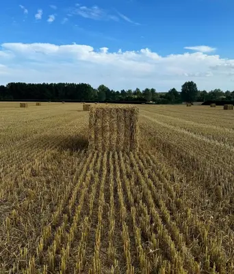 an open field with a bale of hay in the middle at The Old Stable in Messing
