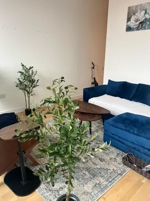 a living room with a blue couch and a table at Jewel of Chelmsford in Chelmsford