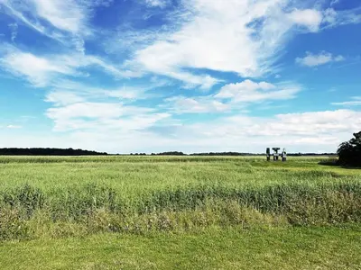 a group of people standing in the middle of a field at The Barn at Orford Lodge by The Suffolk Cottage Collection in Orford