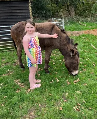 a little girl in a dress standing next to a donkey at Farm stay belltent activities in Bramfield
