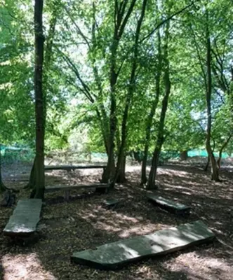 a group of benches in a park with trees at Farm stay belltent activities in Bramfield