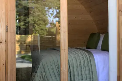 a bed in a wooden room with a window at Highgate Cabin in Takeley