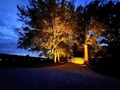 a tree at night with lights on it at Lucas farm barn